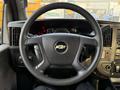 Steering wheel of a 2019 Chevrolet Express with a central logo and control buttons on the left side